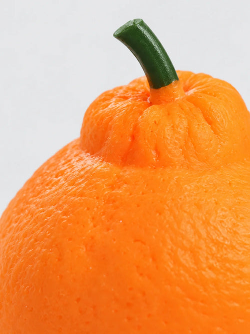 Bumpy Orange Squeeze Squishy Toy